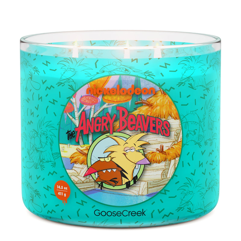 Angry Beavers Nickelodeon 3-Wick Candle H3