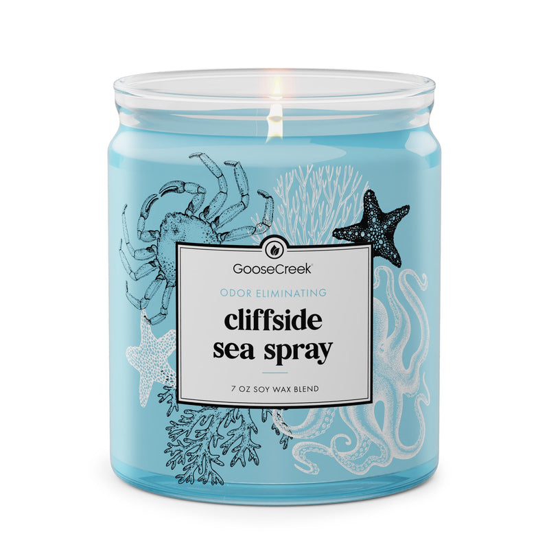 Cliffside Sea Spray Odor Eliminating 7oz Single Wick Candle Z9